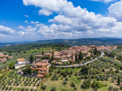 Plant, Building, Window, Swimming Pool, Azure, Water, Tree, House, Sky, Urban Design