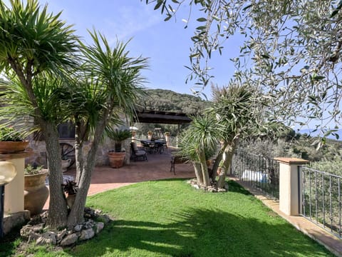 Shrub, Garden, Flowerpot, Landscaping, Woody Plant, Shade, Backyard, Houseplant, Yard