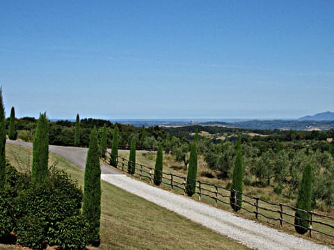 Sky, Tree, Natural Landscape, Land Lot, Property, Fence, Grass, Landscape, Plant, Shrub