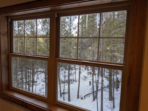 Wooded view out all windows