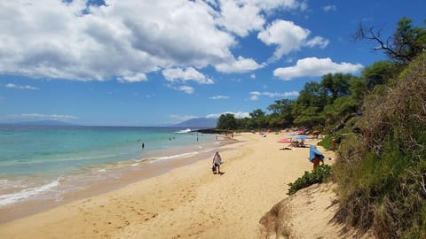 Beach nearby, sun loungers, beach towels