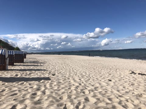 Beach nearby, sun loungers