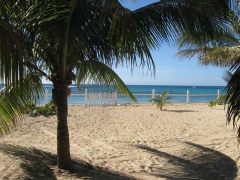 On the beach, sun loungers