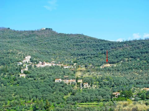 Sky, Plant, Plant Community, Ecoregion, Natural Environment, Mountain, Natural Landscape, Land Lot, Tree, Grass