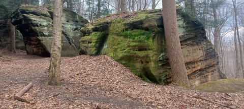 Cuyahoga Valley National Forest State of OHIO