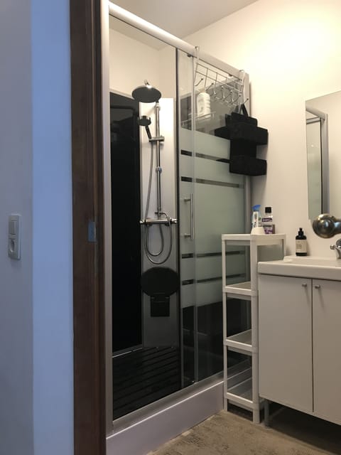 Combined shower/tub, hair dryer, towels