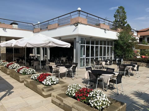 Sky, Flower, Plant, Property, Furniture, Umbrella, Flowerpot, Shade, Tree, Table