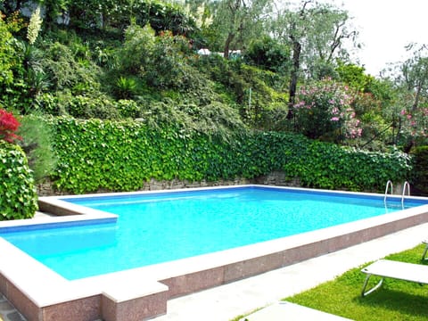 Water, Plant, Green, Swimming Pool, Nature, Azure, Rectangle, Tree, Grass, Shade