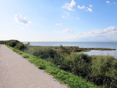 Cloud, Sky, Plant, Water, Ecoregion, Natural Landscape, Land Lot, Coastal And Oceanic Landforms, Horizon, Bank
