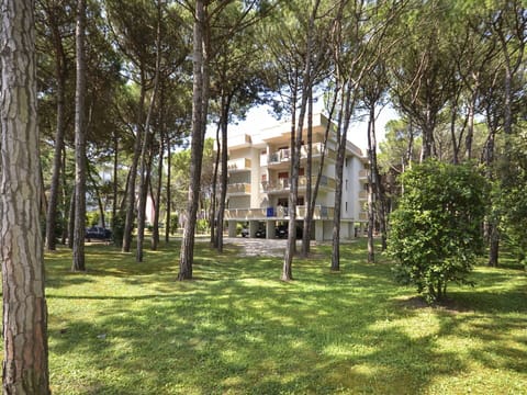 Property, Tree, House, Grass, Estate, Building, Real Estate, Architecture, Woody Plant, Home