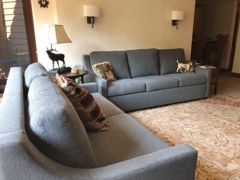 Furniture, Couch, Living Room, Room, Indoors