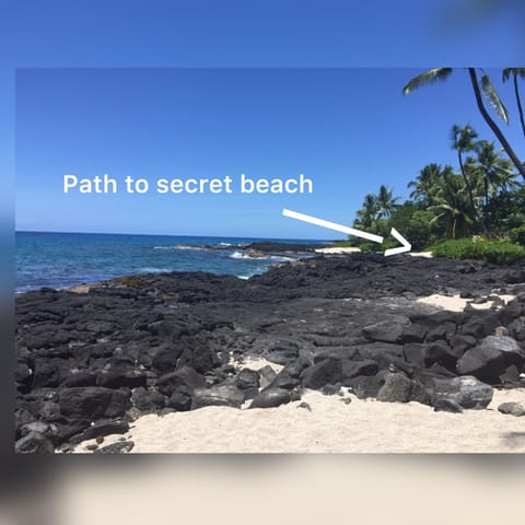 Beach nearby, sun loungers, beach towels