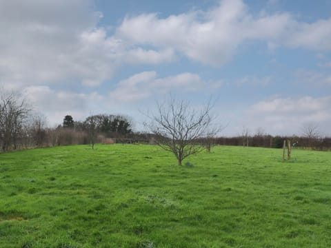 Garden | Ilsington View, Ilsington