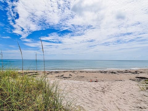 Beach nearby, sun loungers, beach towels