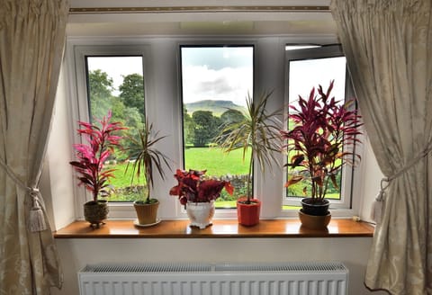 view from dining room