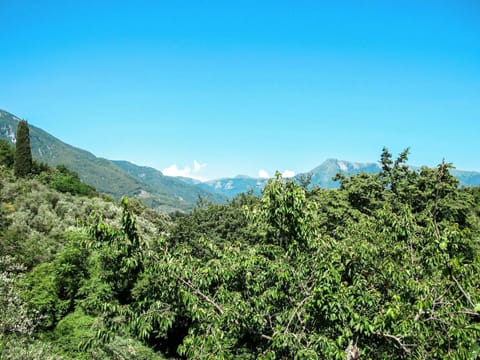 Sky, Plant Community, Mountain, Plant, Natural Landscape, Vegetation, Terrestrial Plant, Tree, Mountainous Landforms, Mountain Range