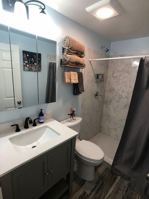 Combined shower/tub, hair dryer, towels, soap