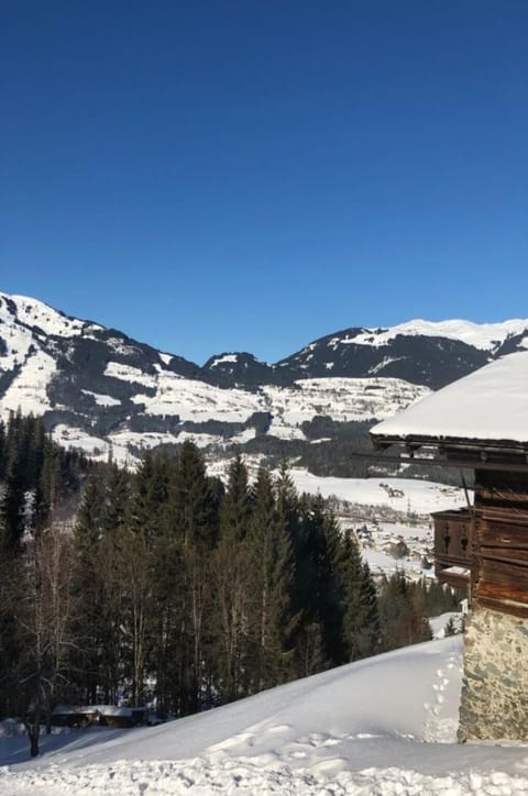 Sky, Snow, Mountain, Cloud, Tree, Slope, Plant, Larch, Highland, Terrain
