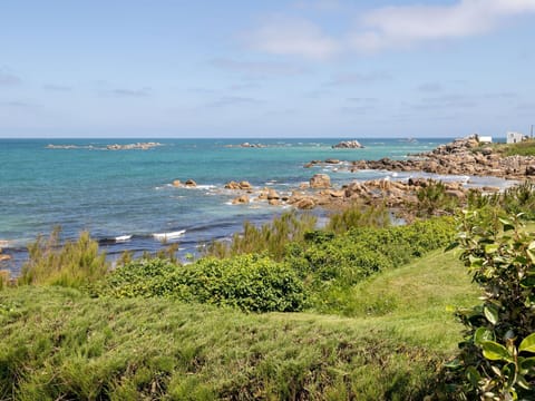 Water, Sky, Cloud, Plant, Ecoregion, Azure, Natural Landscape, Vegetation, Coastal And Oceanic Landforms, Beach