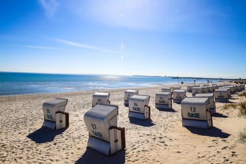 Sun loungers