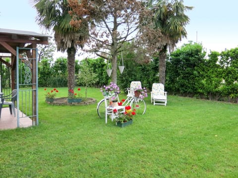 Lawn, Yard, Property, Backyard, Garden, Grass, House, Tree, Real Estate, Grass Family