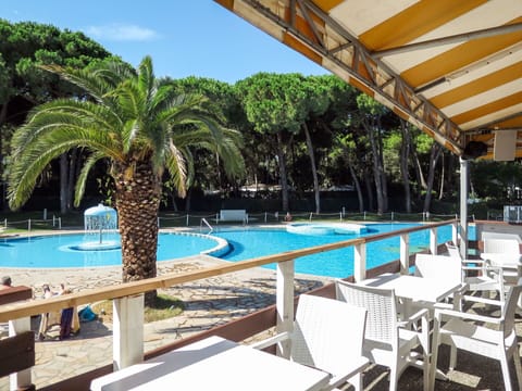 Water, Property, Swimming Pool, Plant, Sky, Azure, Tree, Outdoor Furniture, Sunlounger, Arecales
