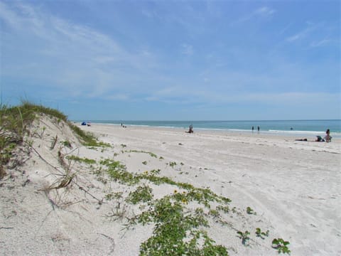 On the beach