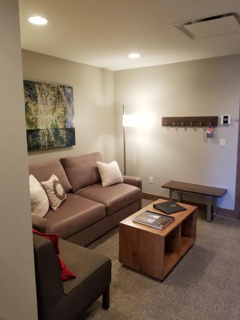 Living room with queen sofa sleeper.