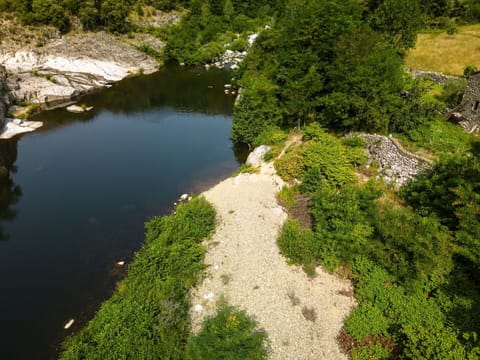 Water, Plant, Plant Community, Natural Landscape, Botany, Body Of Water, Vegetation, Grass, Watercourse