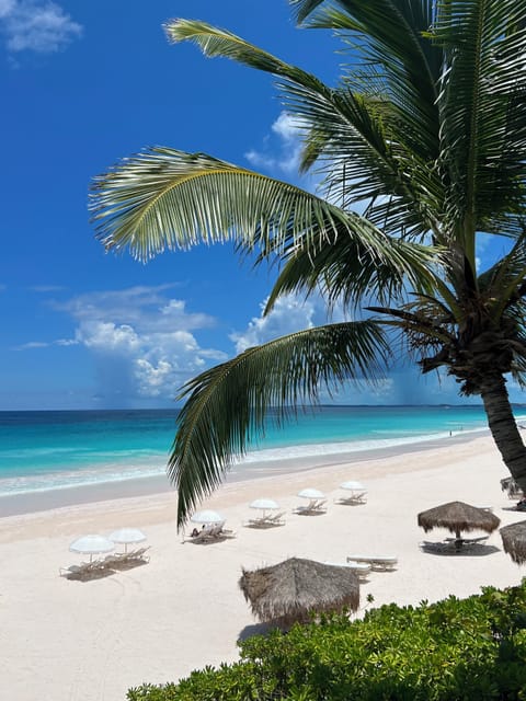 Beach nearby, sun loungers, beach towels