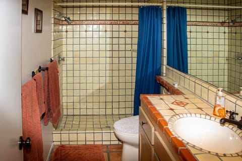 Guest bathroom, with walk-in shower