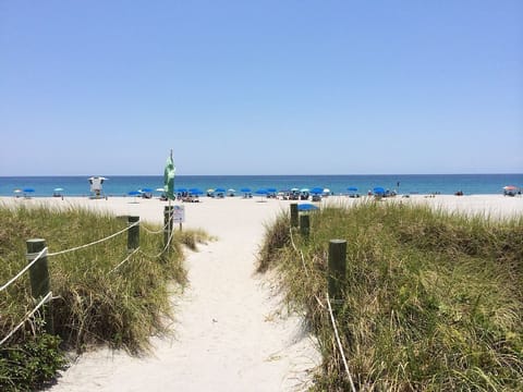 Sun loungers, beach towels