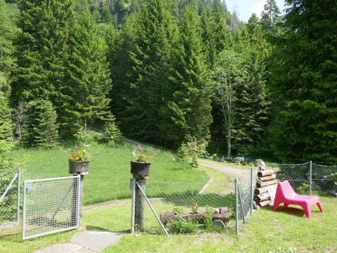 Shrub, Garden, Forest, Lawn, Larch, Landscaping, Evergreen, Woodland