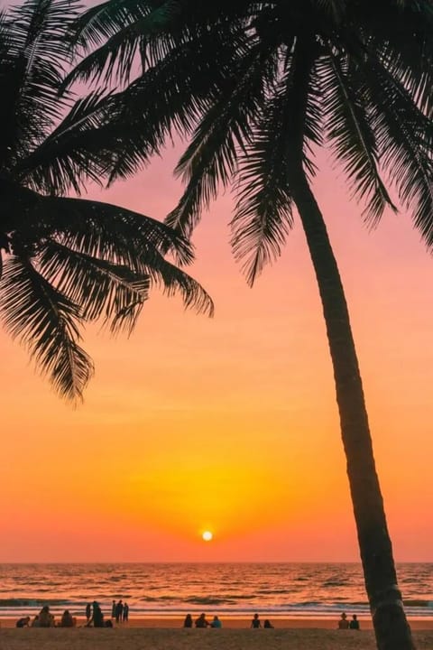 Sun loungers, beach towels