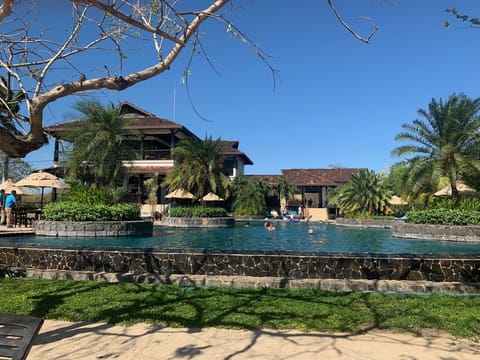 An infinity pool, a lap pool, sun loungers