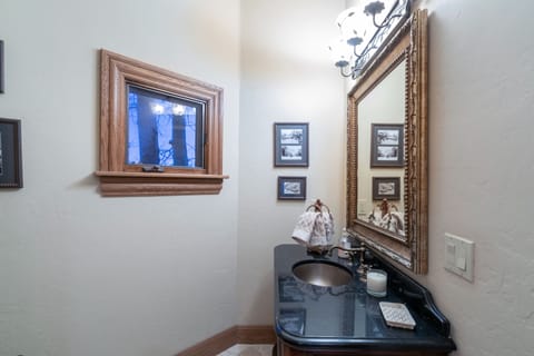 Vanity sink in a powder room.