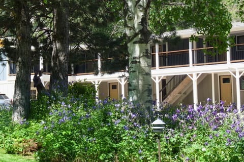 Crystal River Villas Outside Property