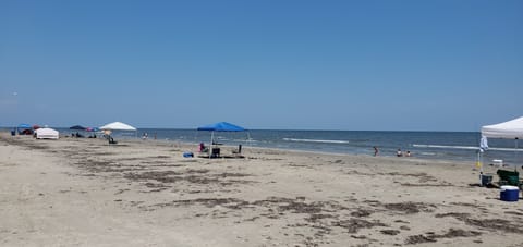 Beach nearby, sun loungers