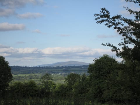 View from the rear of the cottage