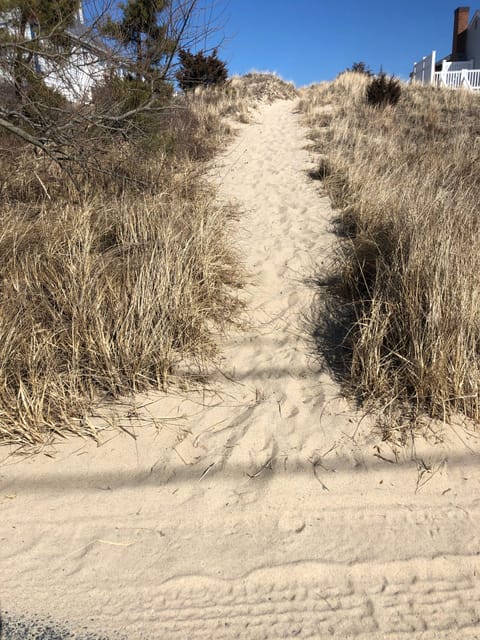 Beach nearby