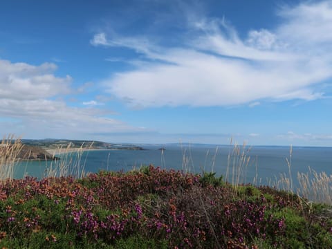 Water, Flower, Cloud, Plant, Sky, Ecoregion, Natural Landscape, Vegetation, Coastal And Oceanic Landforms, Lake