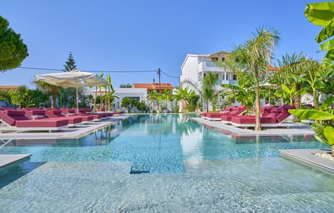 Outdoor pool, sun loungers