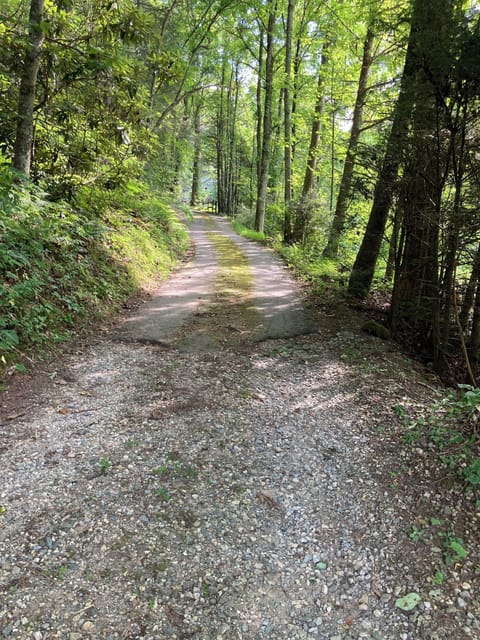 driveway - mostly pavement
