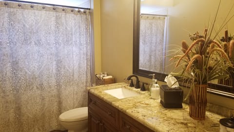 Combined shower/tub, hair dryer, towels, soap