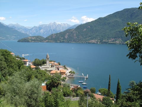 Plant, Sky, Plant Community, Natural Landscape, Branch, Tree, Grass, Shrub, Deciduous, Landscape