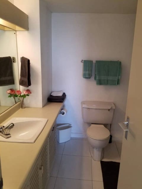 Combined shower/tub, towels, soap, toilet paper