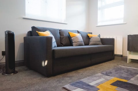 Comfy double sofa bed