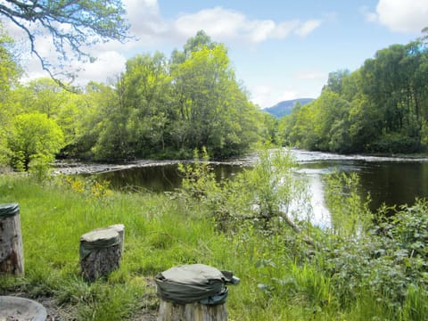Garden and grounds | Loch Ness, Isle Of Skye, The Cairngorms - Riverside Chalets, Contin, near Strathpeffer