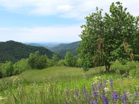 Wood, Lighting, Interior Design, Flooring, Floor, Living Room, Real Estate, Hardwood, Table, Beam