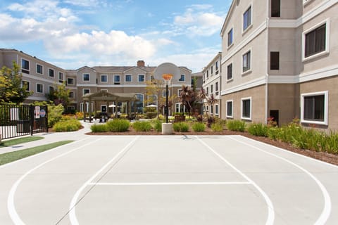 Play a game of basketball.